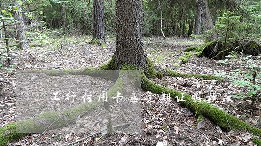 工行信用卡无逾期证明模版 工行信用卡无逾期证明模版