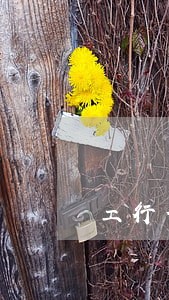 工行信用卡最优还款算不算逾期 工行信用卡最优还款算不算逾期