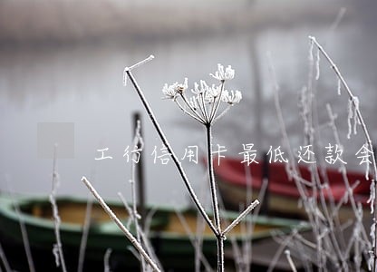 工行信用卡最低还款会逾期吗 工行信用卡最低还款会逾期吗