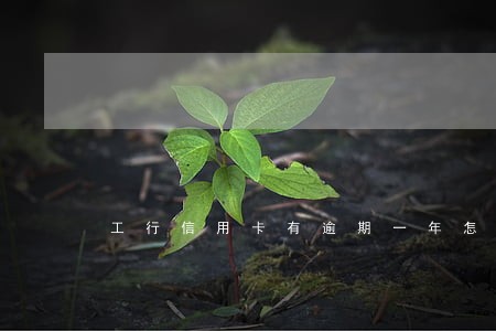 工行信用卡有逾期一年怎么办 工行信用卡有逾期一年怎么办