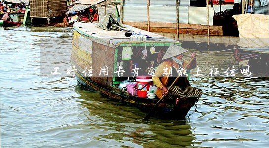 工行信用卡有逾期能上征信吗 工行信用卡有逾期能上征信吗