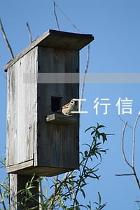工行信用卡欠款2千逾期半年 工行信用卡欠款2千逾期半年