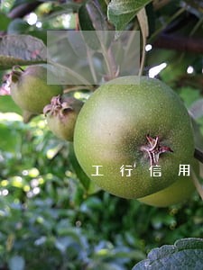 工行信用卡欠款可以只还本金吗 工行信用卡欠款可以只还本金吗