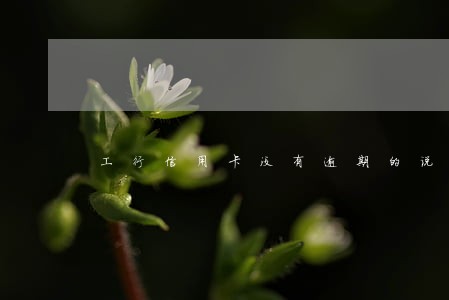 工行信用卡没有逾期的说法 工行信用卡没有逾期的说法
