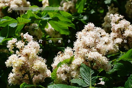 工行信用卡没逾期降额为0怎么办