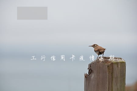 工行信用卡疫情逾期 工行信用卡疫情逾期