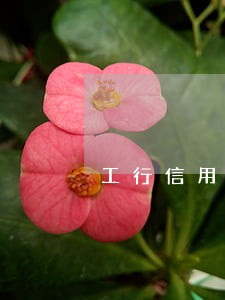 工行信用卡补卡导致逾期