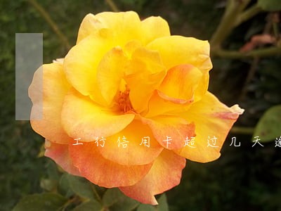 工行信用卡超过几天逾期 工行信用卡超过几天逾期