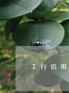 工行信用卡车贷逾期三个月了