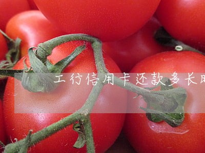 工行信用卡还款多长时间算逾期 工行信用卡还款多长时间算逾期