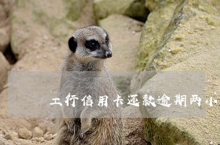 工行信用卡还款逾期两小时 工行信用卡还款逾期两小时