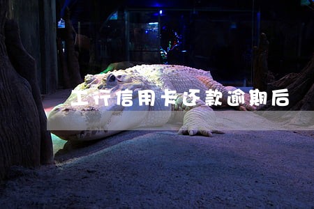 工行信用卡还款逾期后 工行信用卡还款逾期后