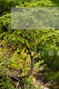 工行信用卡还款逾期最多多少天 工行信用卡还款逾期最多多少天
