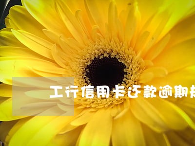 工行信用卡还款逾期规定条款