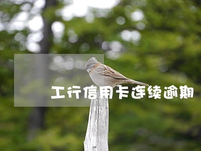工行信用卡连续逾期 工行信用卡连续逾期