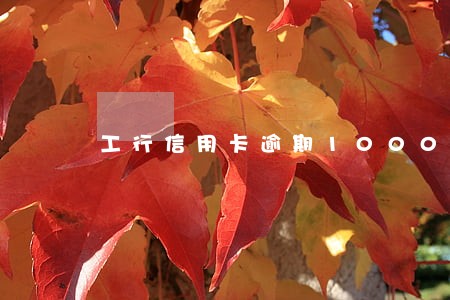 工行信用卡逾期1000多天