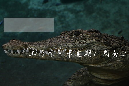 工行信用卡逾期1周会上征信 工行信用卡逾期1周会上征信