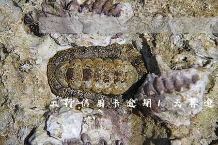 工行信用卡逾期1天算逾期吗 工行信用卡逾期1天算逾期吗