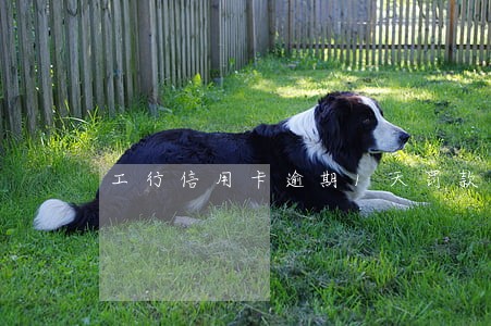 工行信用卡逾期1天罚款吗 工行信用卡逾期1天罚款吗