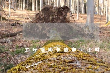 工行信用卡逾期1小时 工行信用卡逾期1小时
