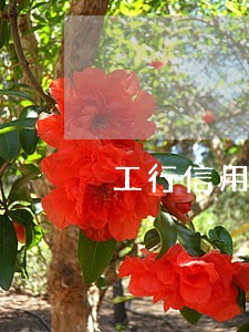 工行信用卡逾期1年多少利息 工行信用卡逾期1年多少利息