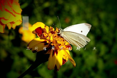 工行信用卡逾期1次
