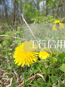 工行信用卡逾期200 工行信用卡逾期200