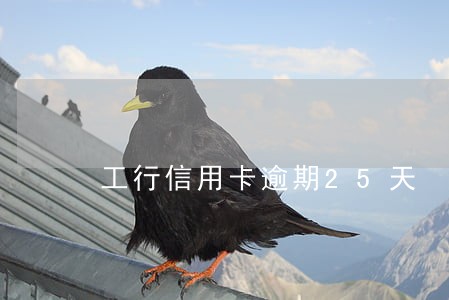 工行信用卡逾期25天 工行信用卡逾期25天
