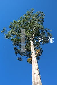 工行信用卡逾期2万一年没还