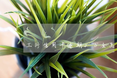 工行信用卡逾期2万会怎么样 工行信用卡逾期2万会怎么样