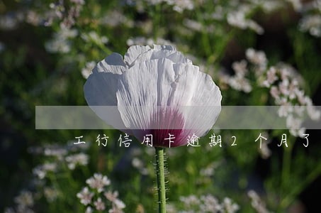 工行信用卡逾期2个月了 工行信用卡逾期2个月了