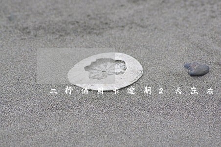 工行信用卡逾期2天左右