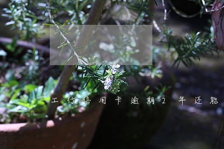 工行信用卡逾期2年还能分期吗 工行信用卡逾期2年还能分期吗