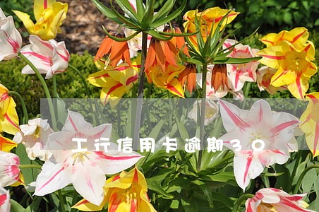 工行信用卡逾期30