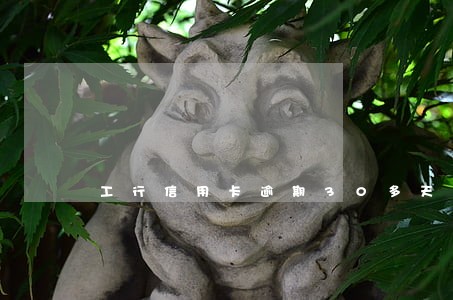 工行信用卡逾期30多天了 工行信用卡逾期30多天了