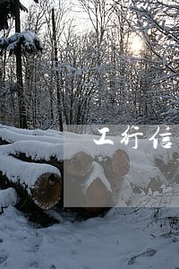工行信用卡逾期3个月的后果