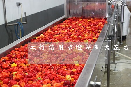 工行信用卡逾期3天左右6 工行信用卡逾期3天左右6