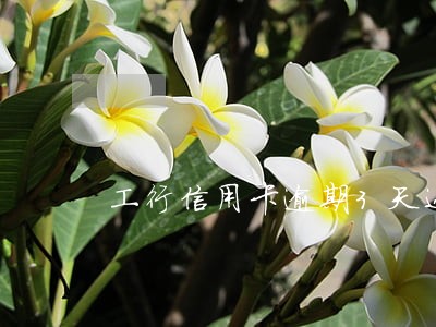 工行信用卡逾期3天还款 工行信用卡逾期3天还款