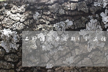 工行信用卡逾期40冻结