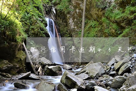 工行信用卡逾期43天可以协商吗 工行信用卡逾期43天可以协商吗