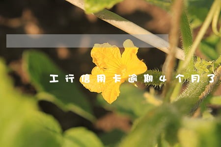 工行信用卡逾期4个月了 工行信用卡逾期4个月了