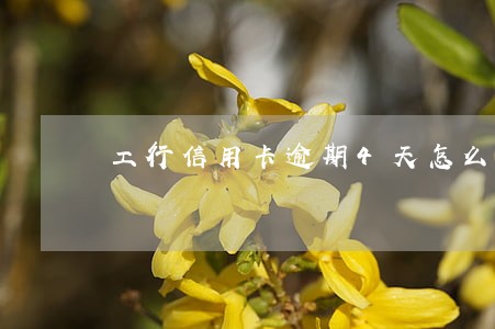 工行信用卡逾期4天怎么办
