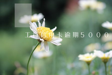 工行信用卡逾期5000说上门 工行信用卡逾期5000说上门