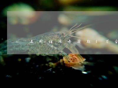 工行信用卡逾期5万会怎么样 工行信用卡逾期5万会怎么样