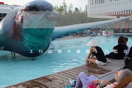 工行信用卡逾期5万怎么办 工行信用卡逾期5万怎么办
