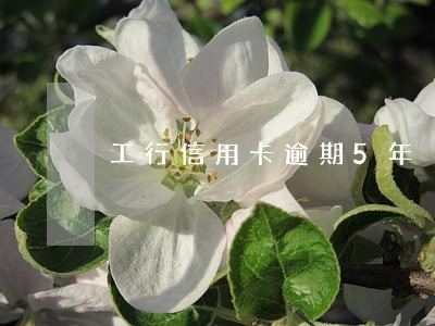工行信用卡逾期5年 工行信用卡逾期5年
