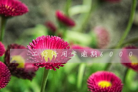 工行信用卡逾期6000两月 工行信用卡逾期6000两月
