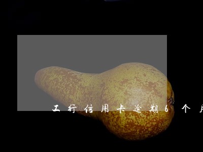 工行信用卡逾期6个月会怎么样 工行信用卡逾期6个月会怎么样
