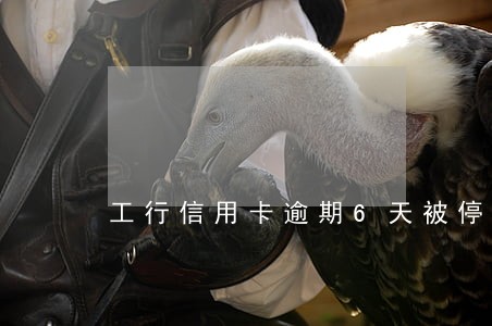 工行信用卡逾期6天被停卡 工行信用卡逾期6天被停卡