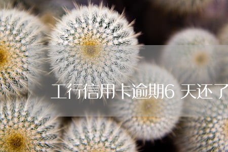 工行信用卡逾期6天还了 工行信用卡逾期6天还了